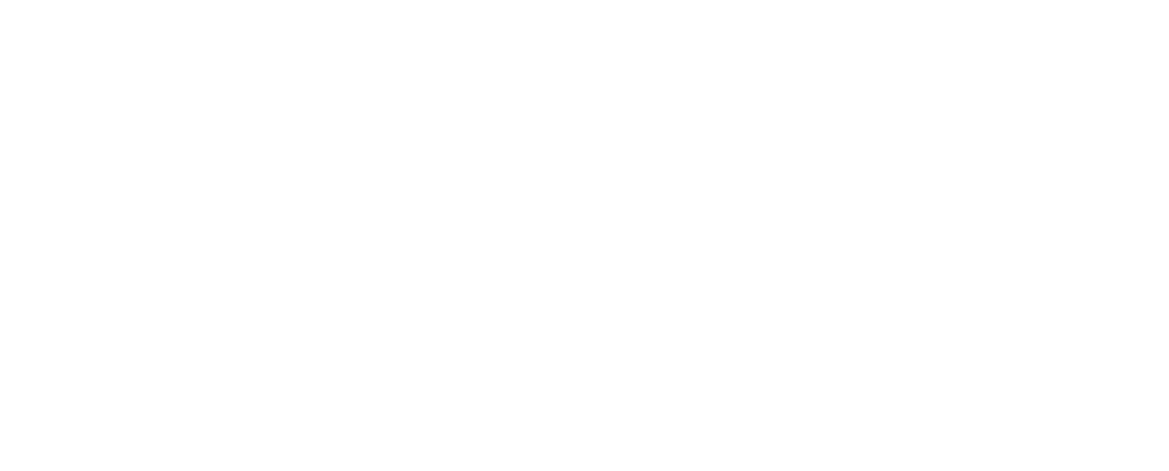 Opus Chain Update